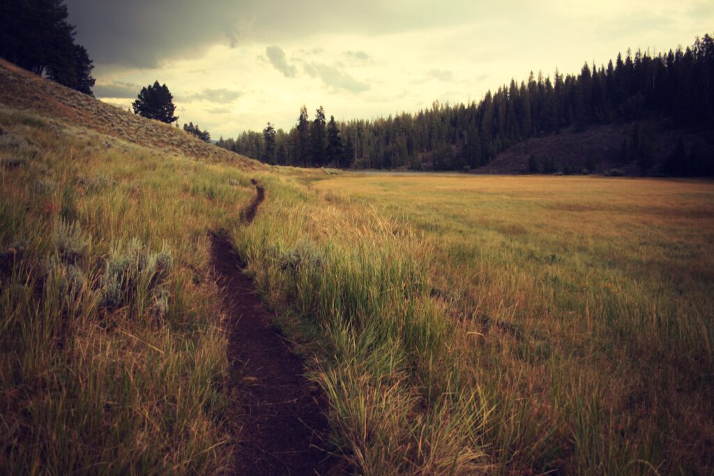 Singletrack Trail