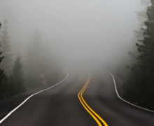 An empty road surrounded by trees with fog.