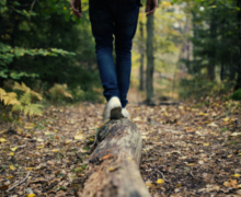 A person walking on a fallen log in a serene forest, illustrating the balance and connection between humans and nature.