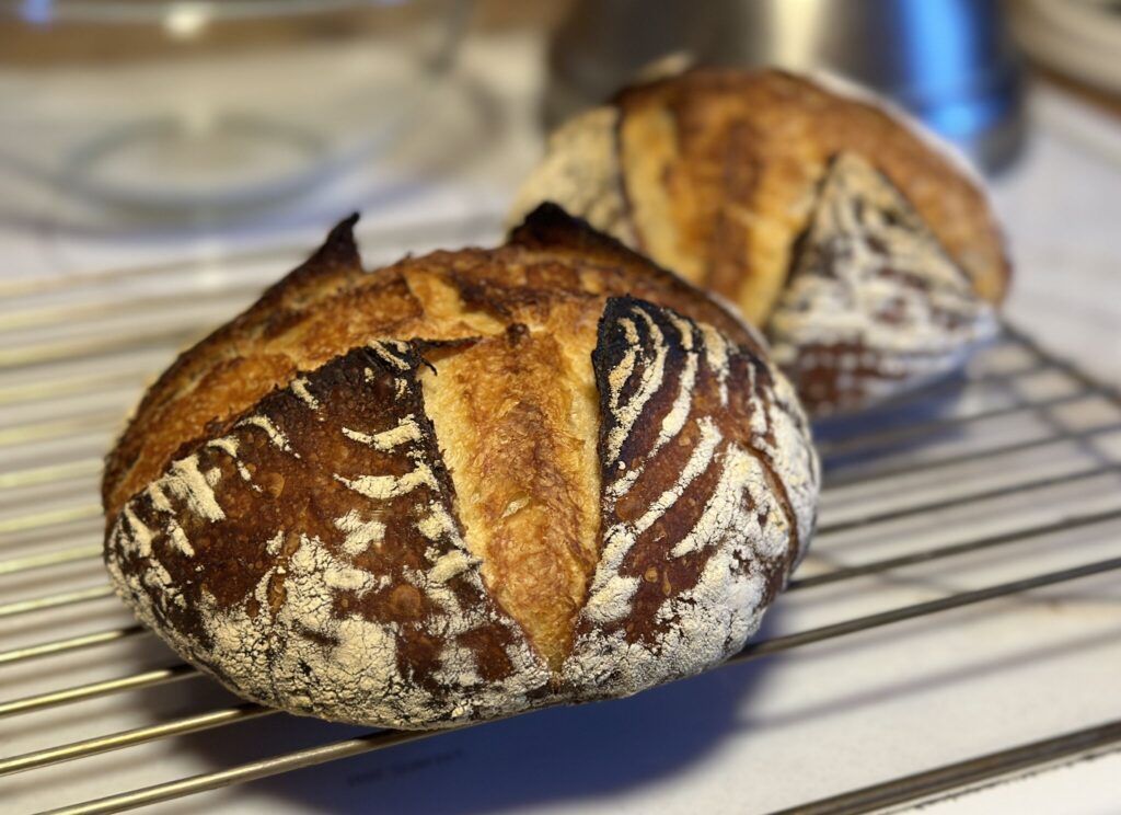 Two golden-brown artisanal bread loaves rest on a wire rack, their crusts scored and dusted with flour.