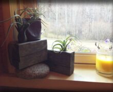 A cozy windowsill with small plants on wood pieces, a round stone, and a yellow candle in a glass holder, overlooking a natural landscape.